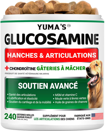 Glucosamine for Dogs - 240 Chews - Hip and Joint Supplement for Dogs with Chondroitin, MSM & Turmeric - Joint Pain Relief for Senior Dogs - All Breeds - Mobility Support - Value Pack - Made in USA - Available at All In One Marketplace Canada