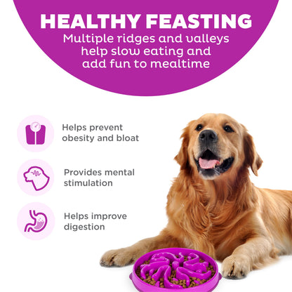 Fun Feeder Slo Bowl – Large 4‑Cup Capacity, Slow Feeding, Medium to Large Dogs, Non‑Slip, Purple, Flower Pattern