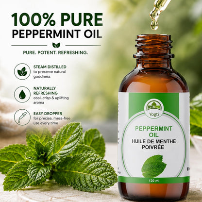 Yogti [Canadian Brand] Peppermint Oil with Dropper, 120 ml (Pack of 1) 🍁 All In One Marketplace Canada
