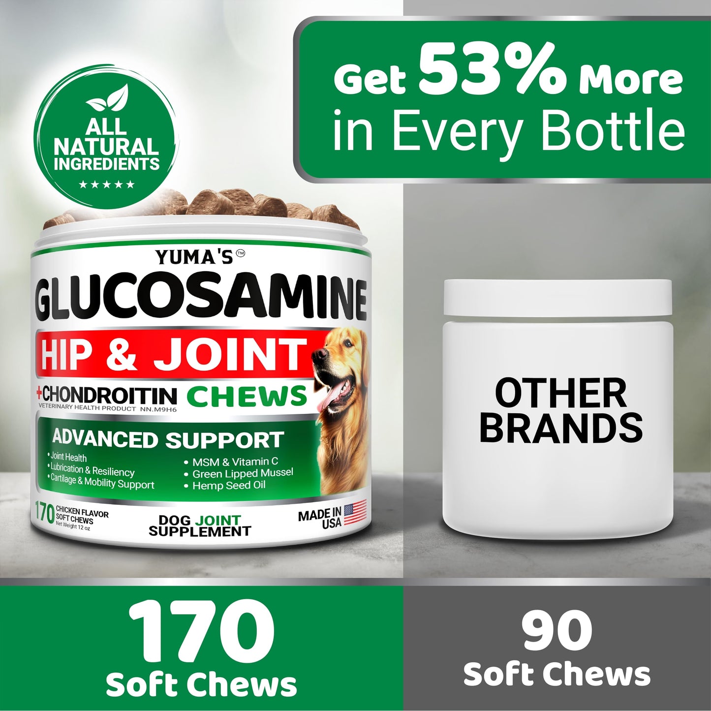 Glucosamine for Dogs - 170 Chews - Hip and Joint Supplement for Dogs - Glucosamine Chondroitin Chews - Joint Pain Relief Supplement with MSM - Advanced Health - Mobility Support - Made in USA