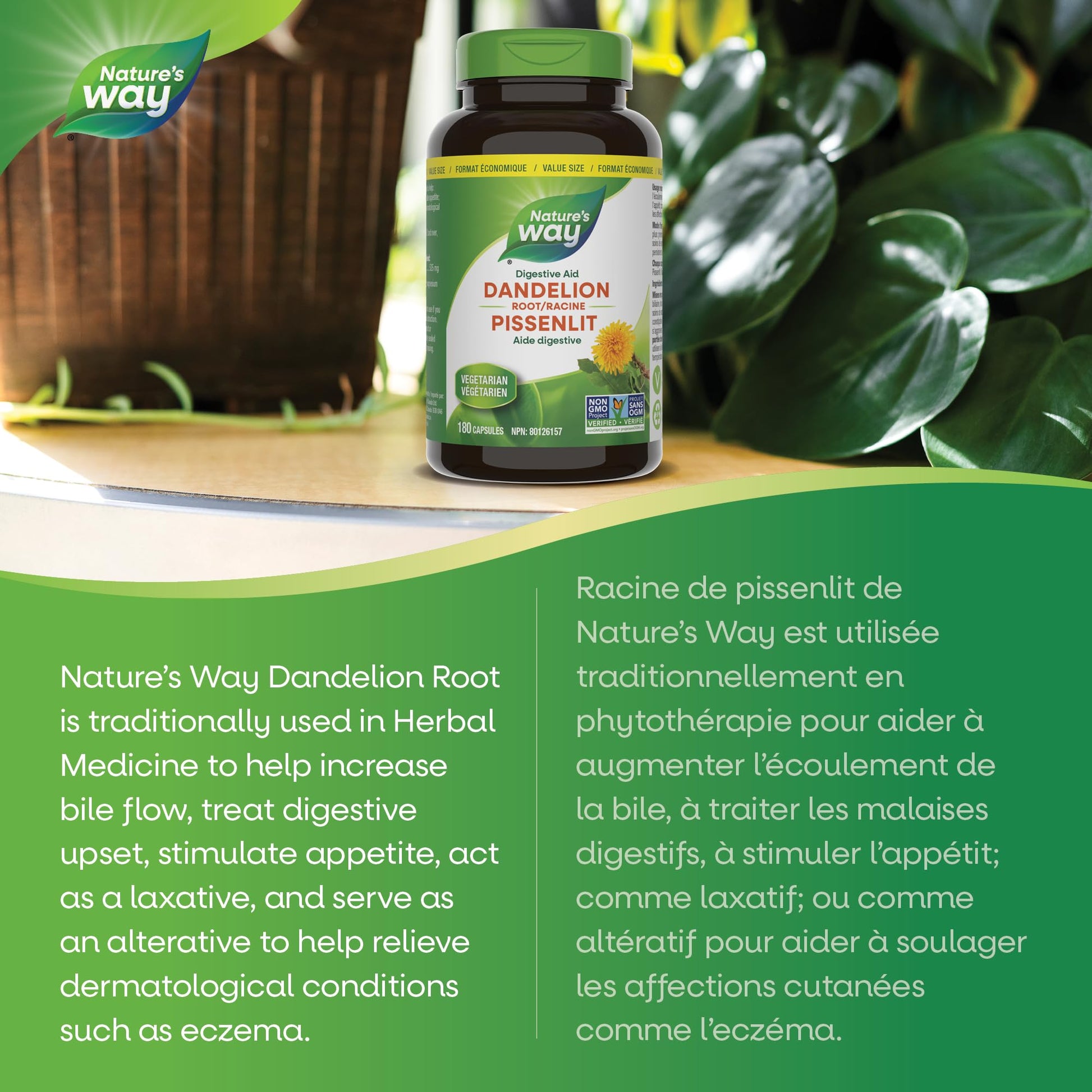 Nature's Way Dandelion Root - Digestion Supplement – Diuretic Laxative - Non-GMO Verified - 180 Vegetarian Capsules, Value Size Nature's Way