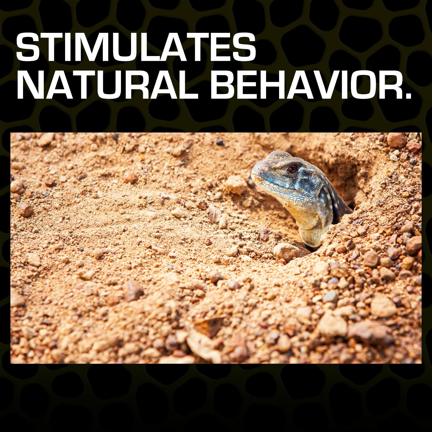 Exo Terra Desert Sand - Yellow - 10 lb (4.5 kg) Exo Terra