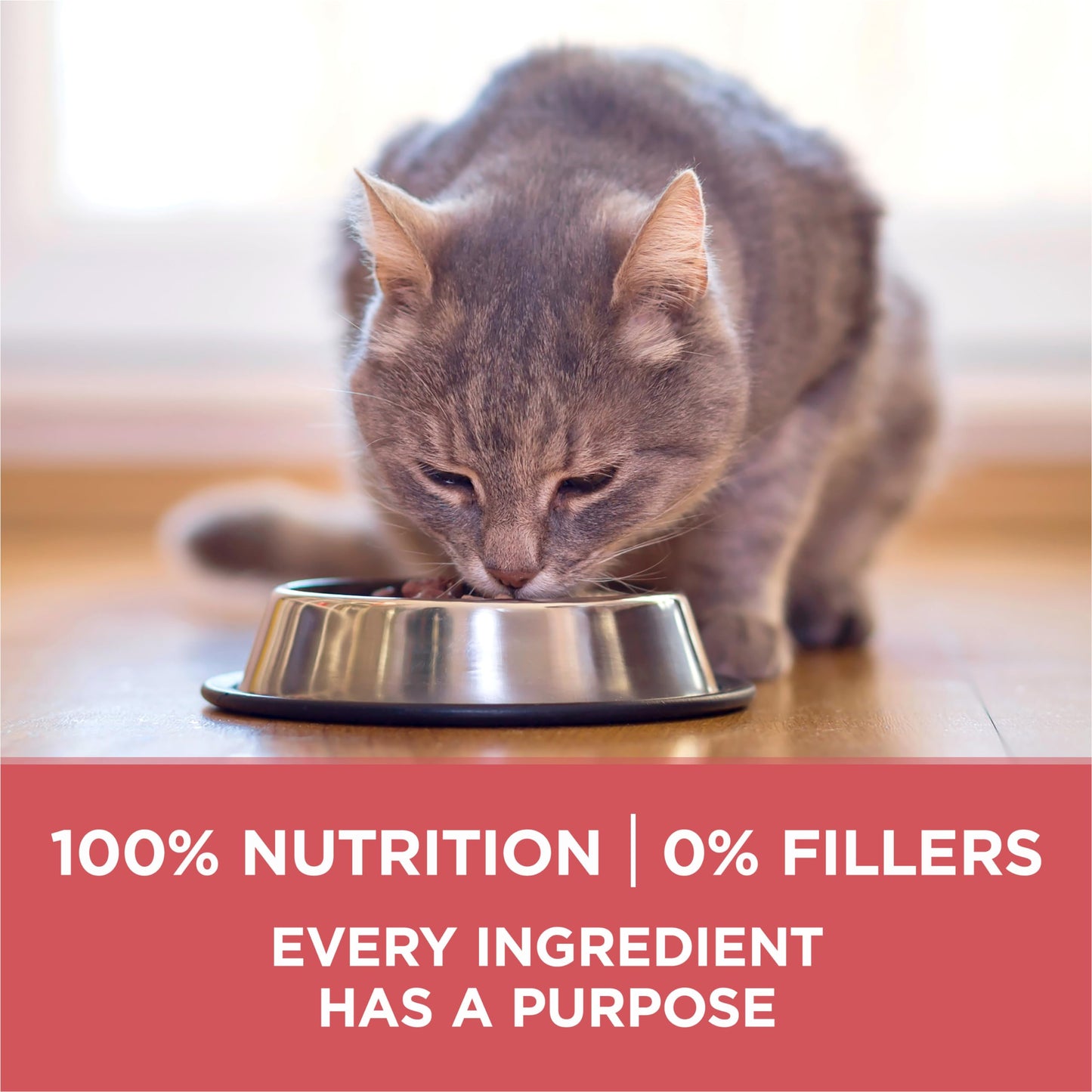 Purina ONE +Plus Dry Cat Food, Indoor Advantage Salmon - 3 kg Bag