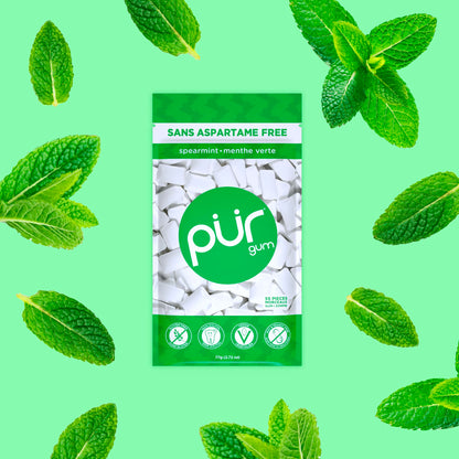 PUR Gum | Aspartame Free Chewing Gum | 100% Xylitol | Natural Spearmint Flavoured Gum, 55 Pieces (Pack of 6) - Available at All In One Marketplace Canada