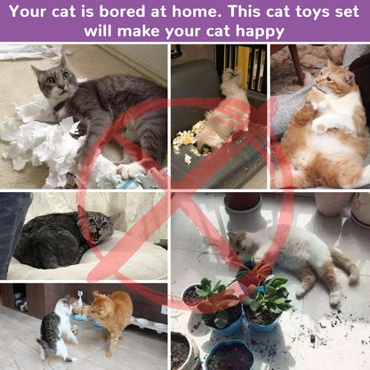 Retro Shaw Cat Toys Set 33 Pack, Cat Play Tunnel for Indoor Cats Kitty, Kitten Toys Include 2 Collapsible Cat Tunnels Tube Tent, Cat Feather Teaser Wand Springs Rainbow Bell Crinkle Ball Mouse Pompom - Available at All In One Marketplace Canada