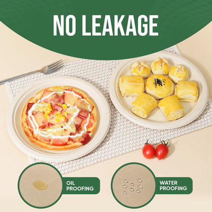 TaidMiao Disposable Paper Plate 9 inch,100% Compostable,100 Pack 🍁 All In One Marketplace Canada