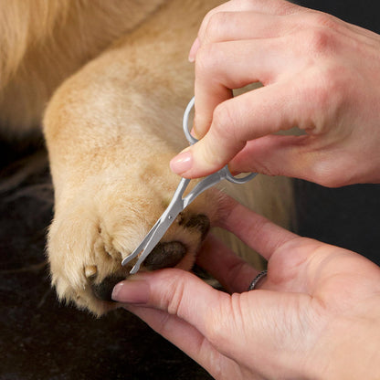 Tweezerman Dog and Cat Stainless Steel Safety Tip Grooming Scissors Tweezerman