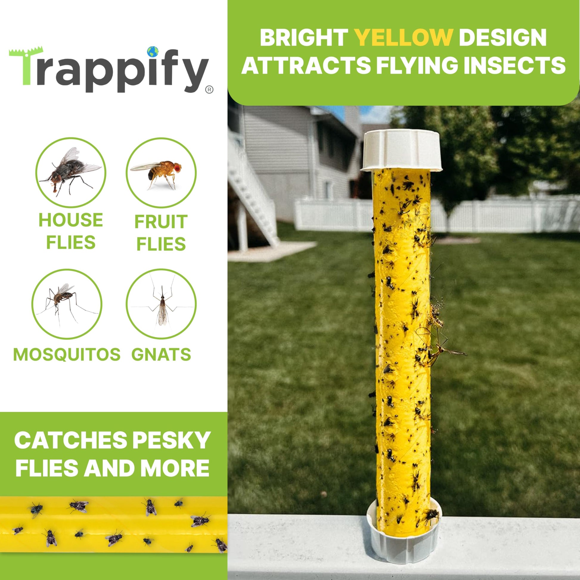 Trappify Hanging Fly Traps Outdoor: Fruit Fly Traps for Indoors | Fly Catcher, Gnat, Mosquito, & Flying Insect Catchers for Inside Home - Disposable Sticky Fly Trap for Indoor House Pest Control (2)