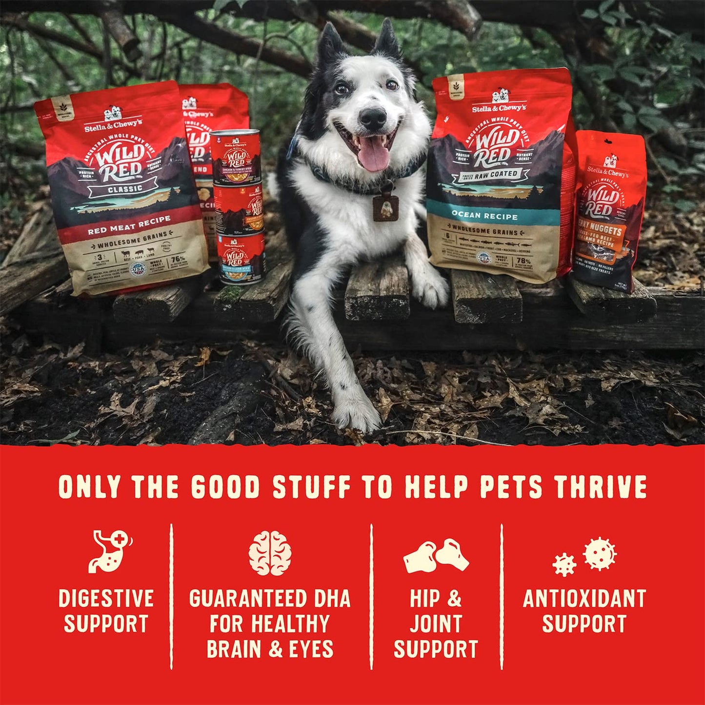 Stella & Chewy's Wild Red Dry Dog Food Raw Blend High Protein Grain & Legume Free Red Meat Recipe, 1.58kg Bag Stella & Chewy's