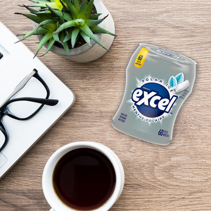 EXCEL, Polar Ice Flavoured Sugar Free Chewing Gum, 60 Pieces, 6 Bottles - Available at All In One Marketplace Canada