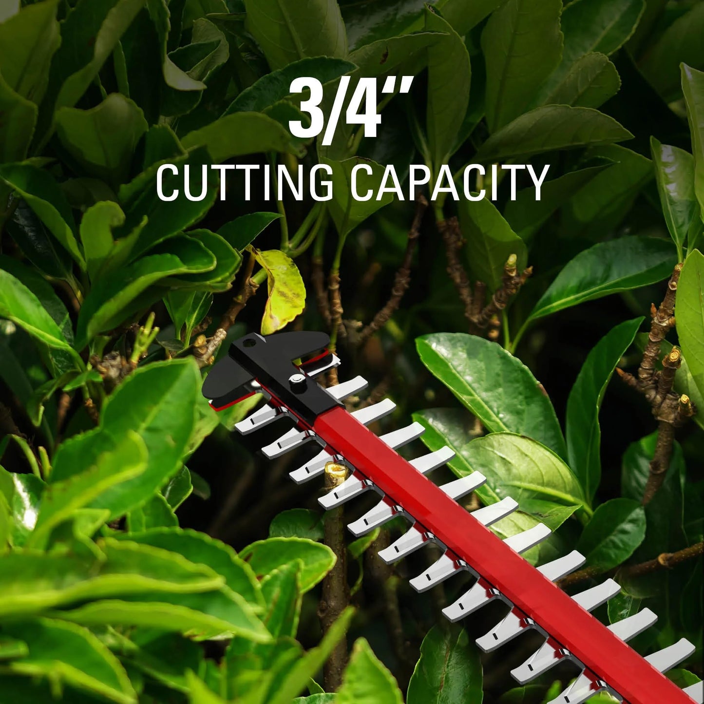 GreenWorks Pro 80V 26-Inch Cordless Hedge Trimmer, Battery Not Included, GHT80320 Greenworks