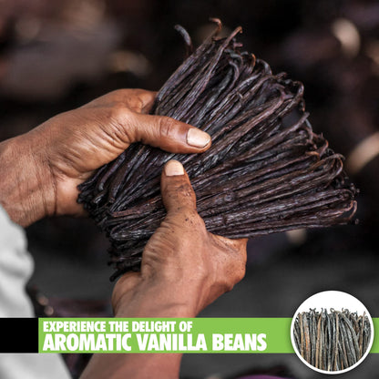 26 Organic Madagascar Vanilla Beans Grade B 4-5.5" - FITNCLEAN Bulk Dry Whole Bourbon Non-GMO Pods