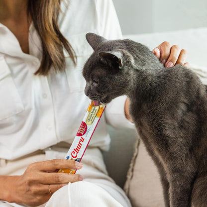 INABA Churu for Senior 10+, Creamy Lickable Cat Treats with Taurine, Vitamin E & C, 14 Grams Each, 60 Tubes, Tuna & Chicken Variety 🍁 All In One Marketplace Canada