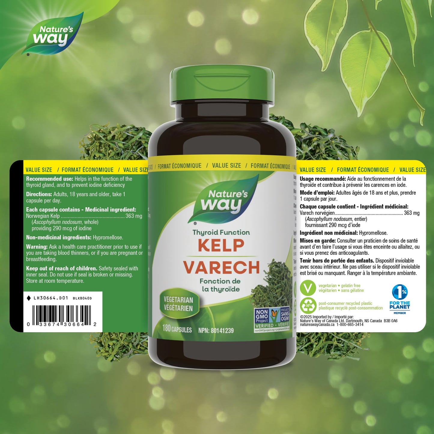 Nature’s Way Kelp - Iodine Supplement for Thyroid Support from Kelp - Non-GMO - 180 Vegetarian Capsules, Value Size Nature's Way