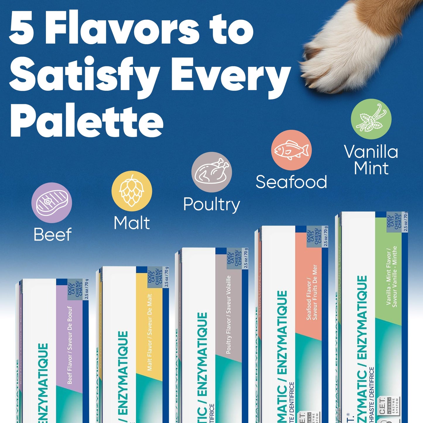 Virbac Enzymatic Toothpaste, 2.5 Ounce, Vanilla-Mint Flavor, 1 pack 🍁 All In One Marketplace Canada