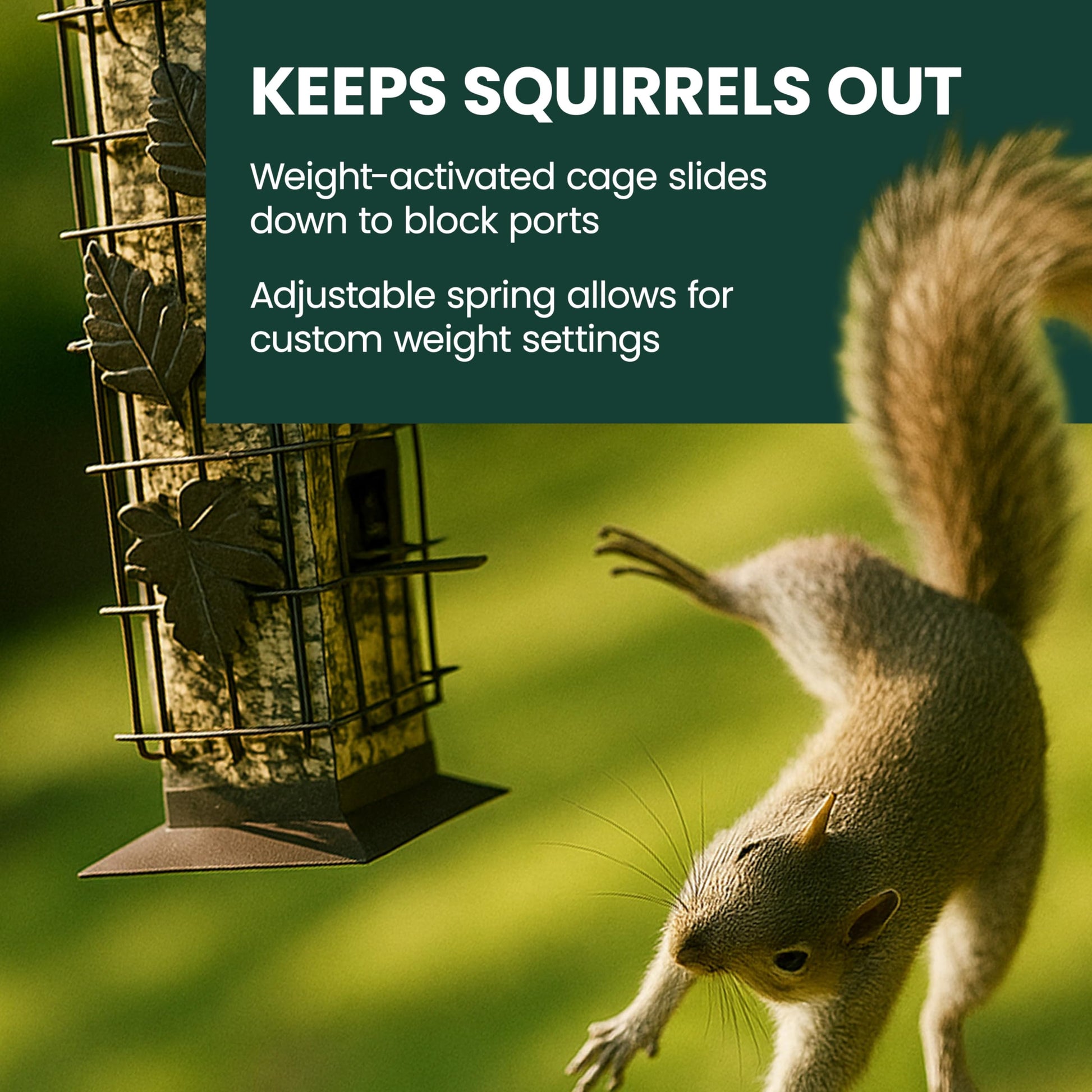 Perky-Pet 336-1SR Squirrel-Be-Gone Bird Feeder, 2LB Squirrel Proof Outdoor Wild Bird Feeder with Weight-Activated Perches