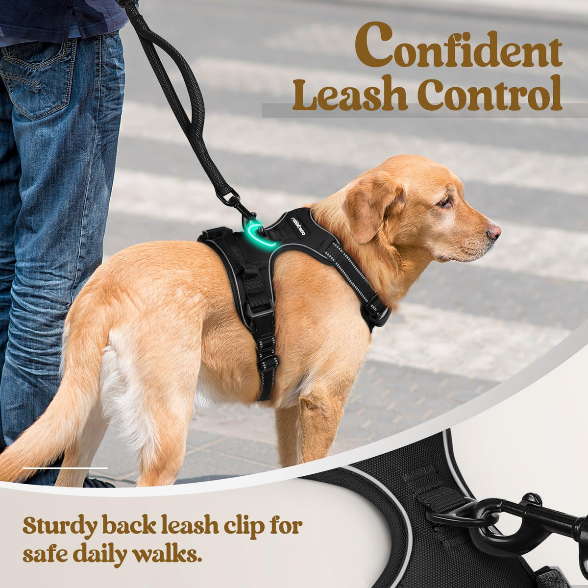 rabbitgoo Dog Harness, No Pull Medium Breed with 2 Leash Clips, Pet Vest
