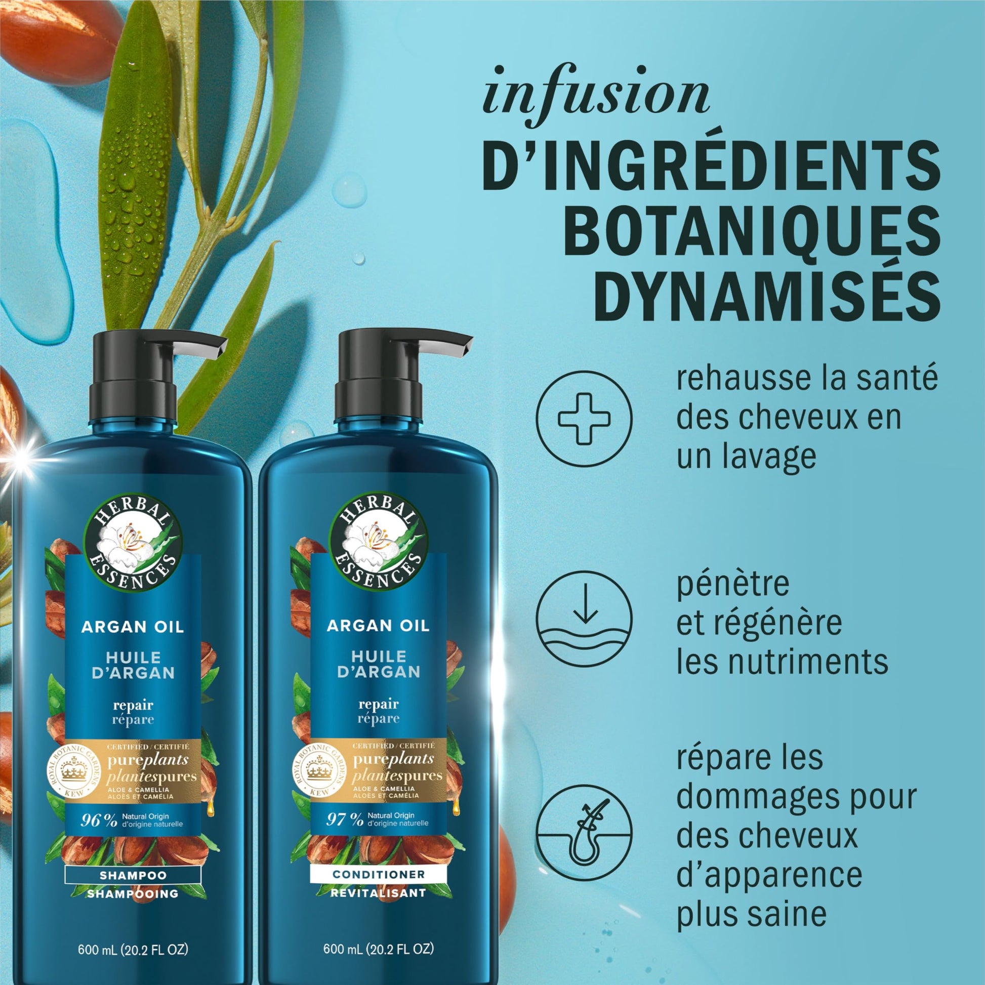 Herbal Essences, Argan Oil Paraben Free Shampoo and Conditioner, Dual Pack, Hair Repair, with Certified Camellia Oil and Aloe Vera, For All Hair Types, Especially Damaged Hair, 600 mL Each - Available at All In One Marketplace Canada