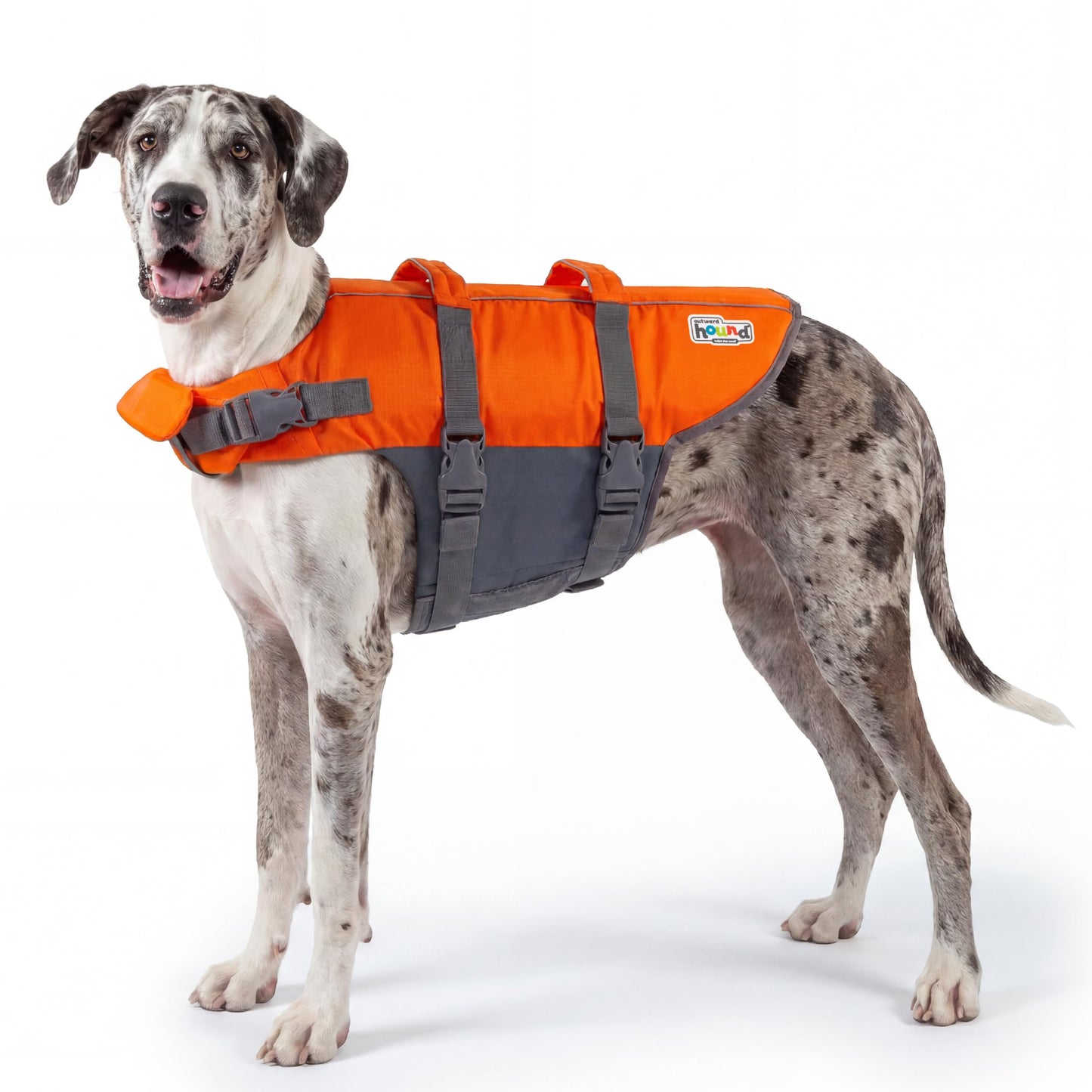 Outward Hound Granby Splash Dog Life Jacket with Handle, Reflective Floating Vest for Swimming & Boating, Maximum Buoyancy, All Skill Levels, Extra-Large Dogs (33–44" Girth), Orange, X-Large 🍁 All In One Marketplace Canada