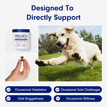 Petlab Co. Joint Care Chews, High Levels of Glucosamine for Dogs, Green Lipped Mussels, Omega 3 and Turmeric, Dog Hip and Joint Supplement to Actively Support Mobility, Packaging May Vary