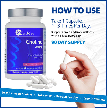CanPrev Choline 275mg 90 Veggie Capsules, 90-Day Supply, VitaCholine for Cognitive Function, Memory & Focus, Vegan, Non-GMO, Gluten & Soy-Free, Supports Pregnancy, Liver & Heart Health, Made in Canada - Available at All In One Marketplace Canada