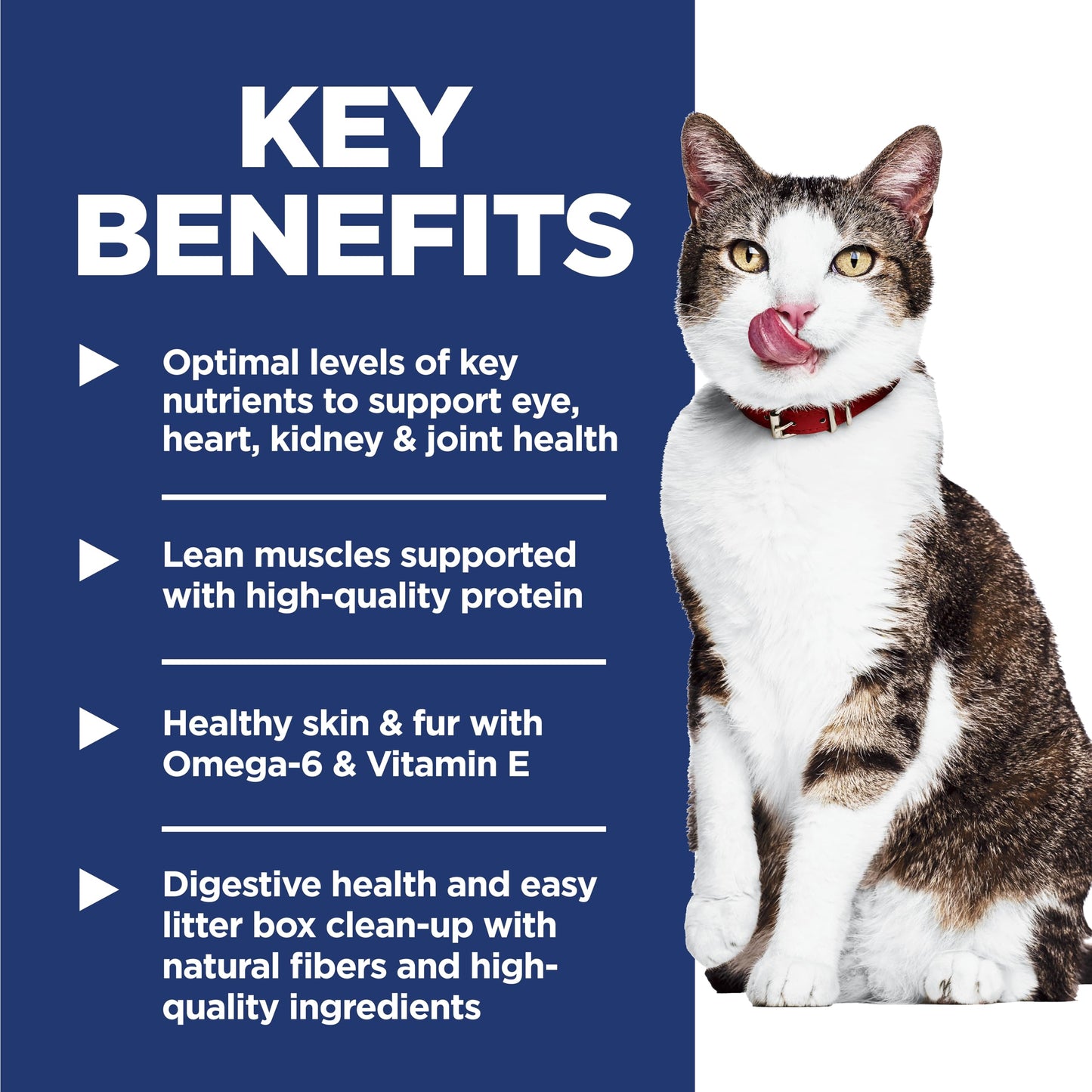 Hill's Science Diet Senior 11+ Indoor Chicken Recipe Dry Cat Food 3.17 kg Bag Hill's Science Diet