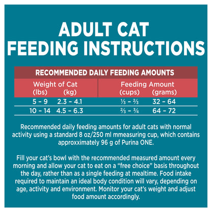 Purina ONE Dry Cat Food, Salmon & Rice Formula - 7.2 kg Bag