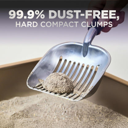 Arm & Hammer Platinum Clumping Cat Litter, 2x Longer Odour Control, Multi-Cat Clay, Ultimate 14-Day Freshness, Extra Oduor Eliminators, Effortless Clean, Dust-Free, Heavy-Duty Clumping, 8.16kg