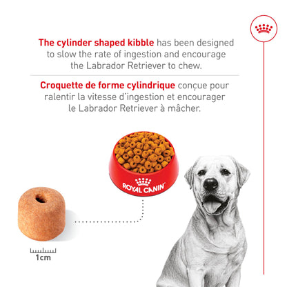 Royal Canin Labrador Retriever Adult Dry Dog Food, 30 lb bag ROYAL CANIN