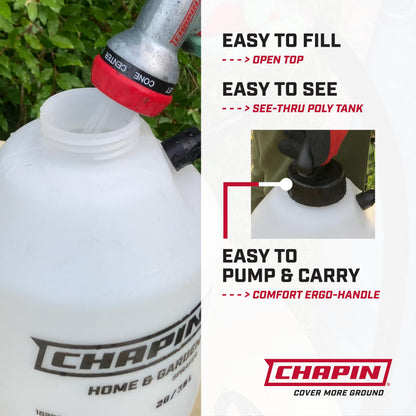 Chapin 16200 Home and Garden Poly Sprayer, 2-Gallon Chapin International