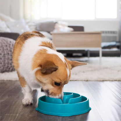 Fun Feeder Slo Bowl – Medium 2‑Cup Capacity, Slow Feeding, Small to Medium Dogs & Cats, Non-Slip, Turquoise, Drop Pattern