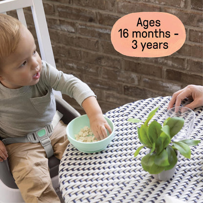 Ingenuity SmartClean Toddler Booster Seat for Kitchen Chair – Lightweight for on-the-go, Easy-Clean, 3-Point Harness Strap – Booster Seat for Dining Table, Slate - Available at All In One Marketplace Canada