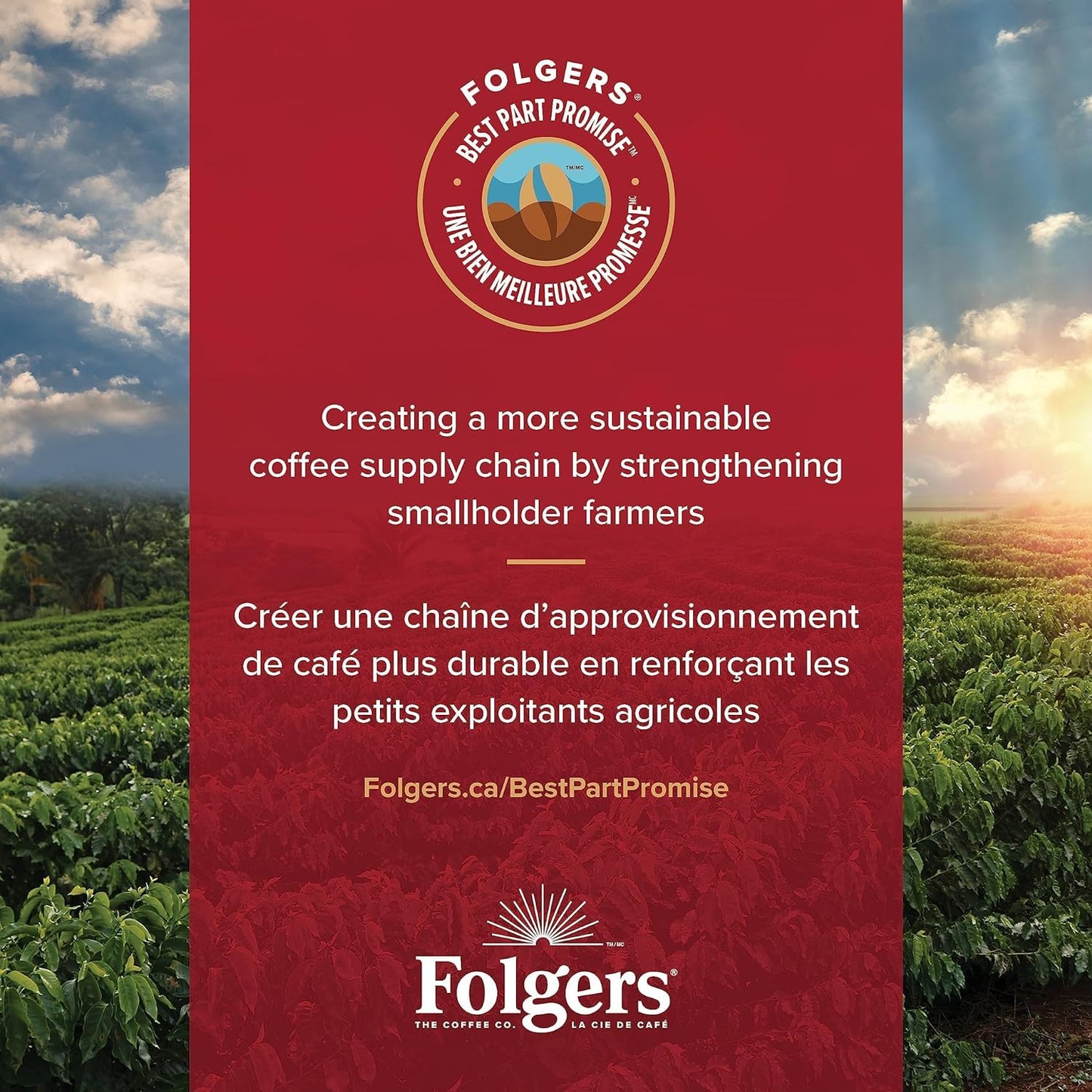 Folgers Lively Colombian Medium Roast Single-Serve Coffee Pods – 48 Count, Arabica Beans for Hot or Iced Coffee