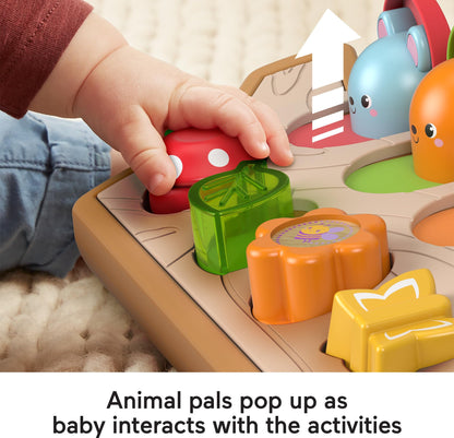 Fisher-Price Baby Toy Hide & Peek Pop-Up Animal-Themed Sensory Activity with Wood Accents & Sounds for Ages 9+ Months Fisher-Price