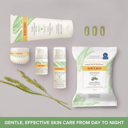 Burt's Bees Sensitive Hydrating Gentle Daily Face Cream Moisturizer Face Lotion for Sensitive Skin with Aloe and Rice Milk, , Mother's Day Gift, 98.9% Natural Origin, Developed with Dermatologists, 51g Burt's Bees