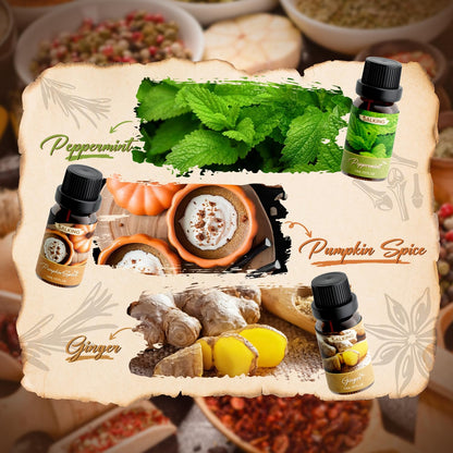 SALKING Spice Essential Oils Set, 6x10ml Fragrance Scented Oils for Diffuser, Candle and Soap Making - Cinnamon, Clove, Vanilla, Pumpkin Spice, Peppermint, Ginger 🍁 All In One Marketplace Canada
