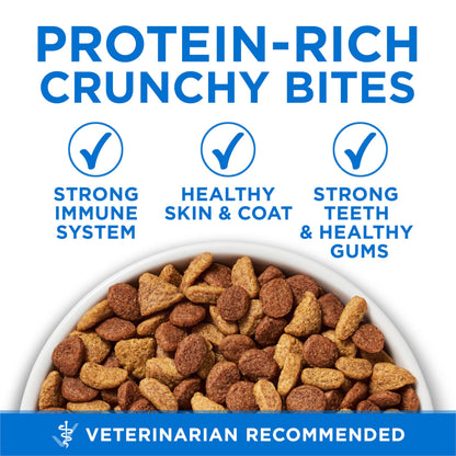Purina ONE +Plus Dry Cat Food, High Protein with Salmon & Whitefish 3kg Purina ONE
