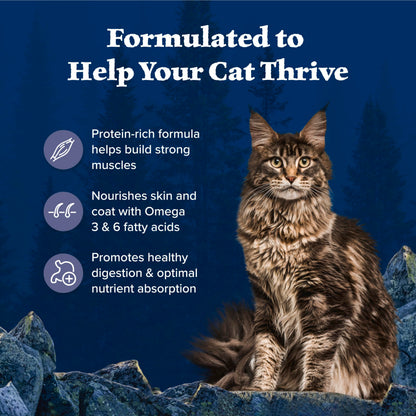 Blue Buffalo Wilderness with Chicken Natural High-Protein Grain-Free Dry Food for Adult Cats, Real Chicken First, Antioxidant-Rich LifeSource Bits Support Immunity, Promotes Strong Muscles, 12 lbs.