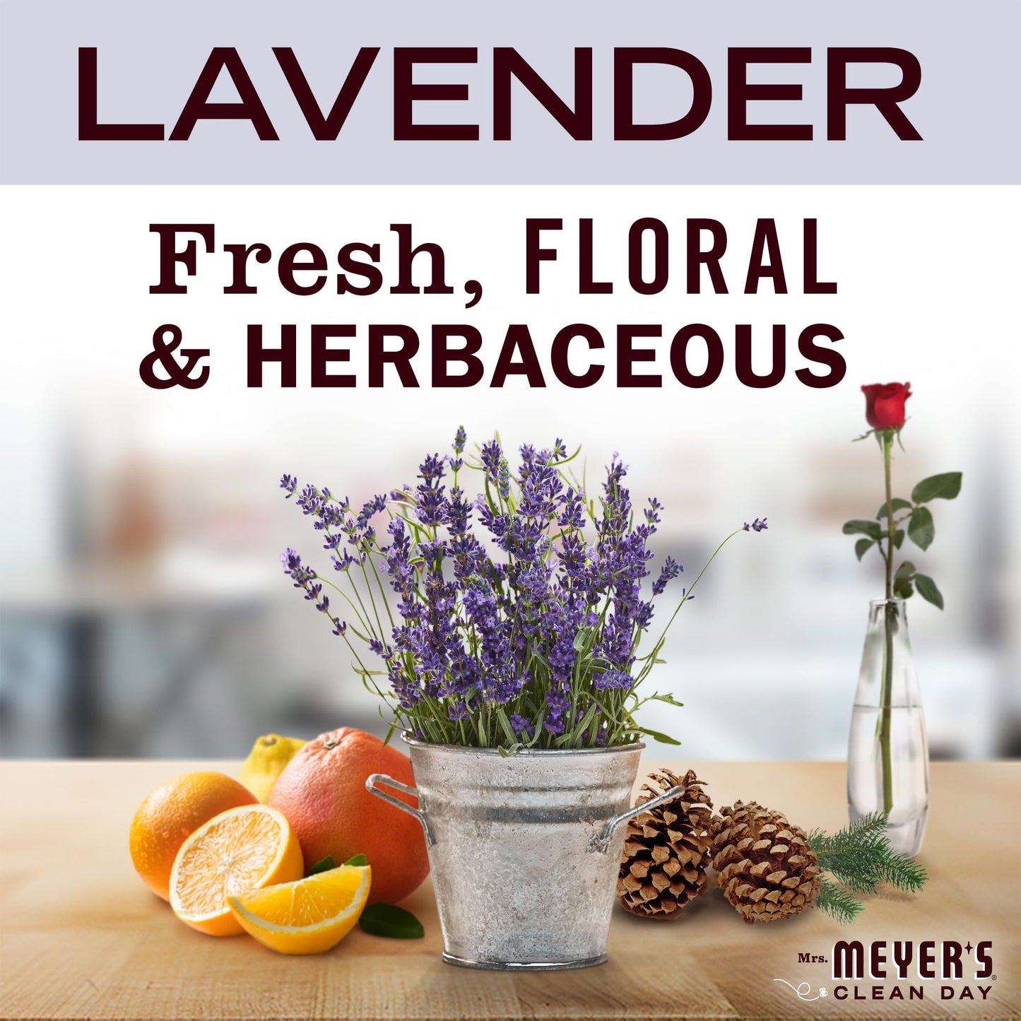 Mrs. Meyer's Clean Day Laundry Detergent, Lavender Scent, 1.8L (Packaging May Vary) - Available at All In One Marketplace Canada