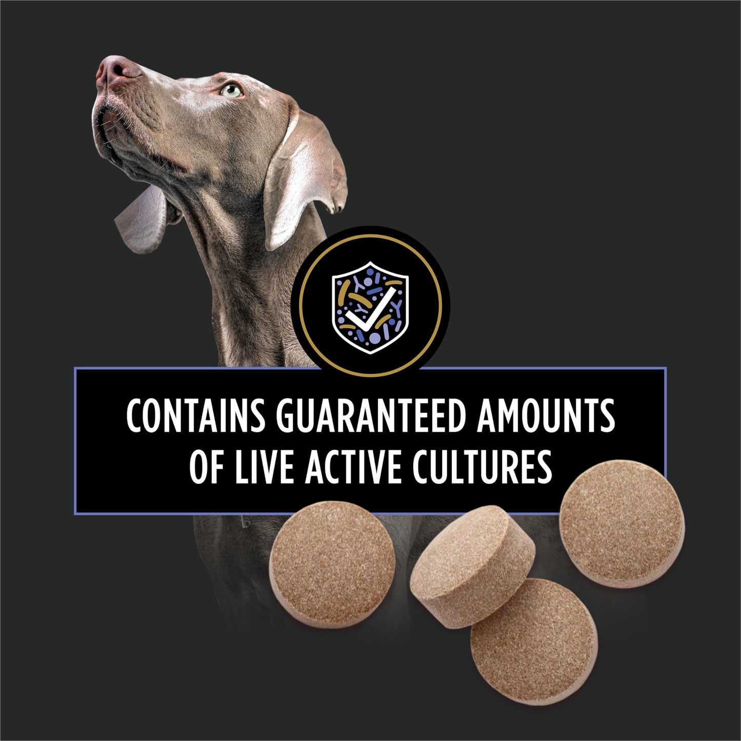 Purina Pro Plan Veterinary Supplements, Dog Probiotic Tablets - 79 g (45 Tablets) 🍁 All In One Marketplace Canada