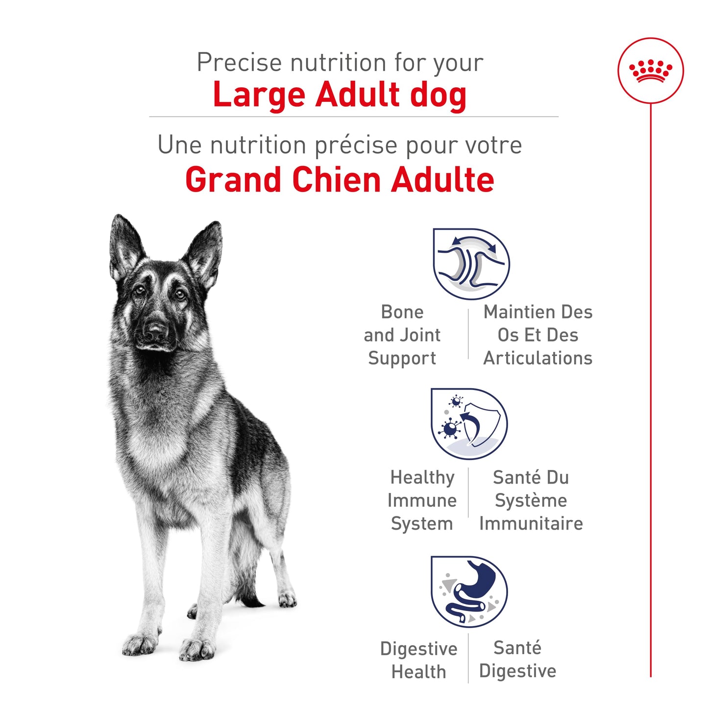 Royal Canin Large Breed Adult Dry Dog Food, 30 lb Bag ROYAL CANIN