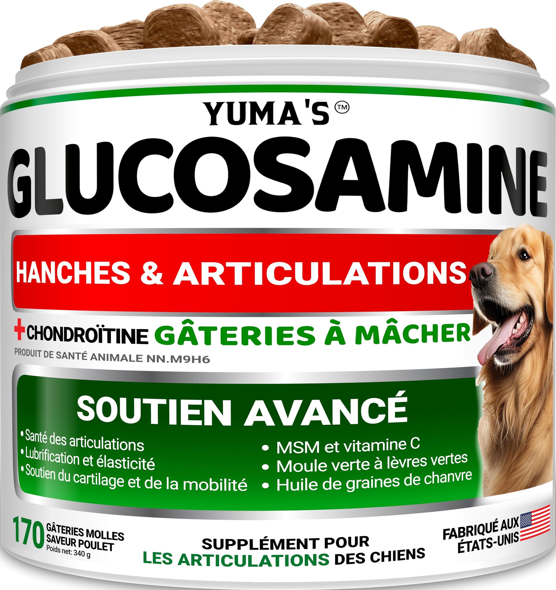 Glucosamine for Dogs - 170 Chews - Hip and Joint Supplement for Dogs - Glucosamine Chondroitin Chews - Joint Pain Relief Supplement with MSM - Advanced Health - Mobility Support - Made in USA