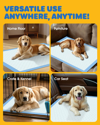 Powools 50-Pack X-Larg Puppy Pads - 34" x 28" Extra Large Pee Pads for Dogs with 6-Layer Leakproof Protection, Quick-Dry and Disposable Dog Pads with High Absorbency for Easy Potty Training - Available at All In One Marketplace Canada