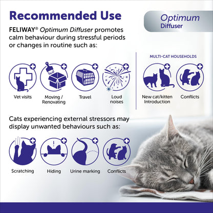 FELIWAY Optimum Starter Kit, Promotes Calmness AND Harmony in Cats & Kittens, VHP Registered NN.P5V2, includes 1 Diffuser 1 Refill, Lasts 30 Days, Cat Calming Pheromones, 48ml