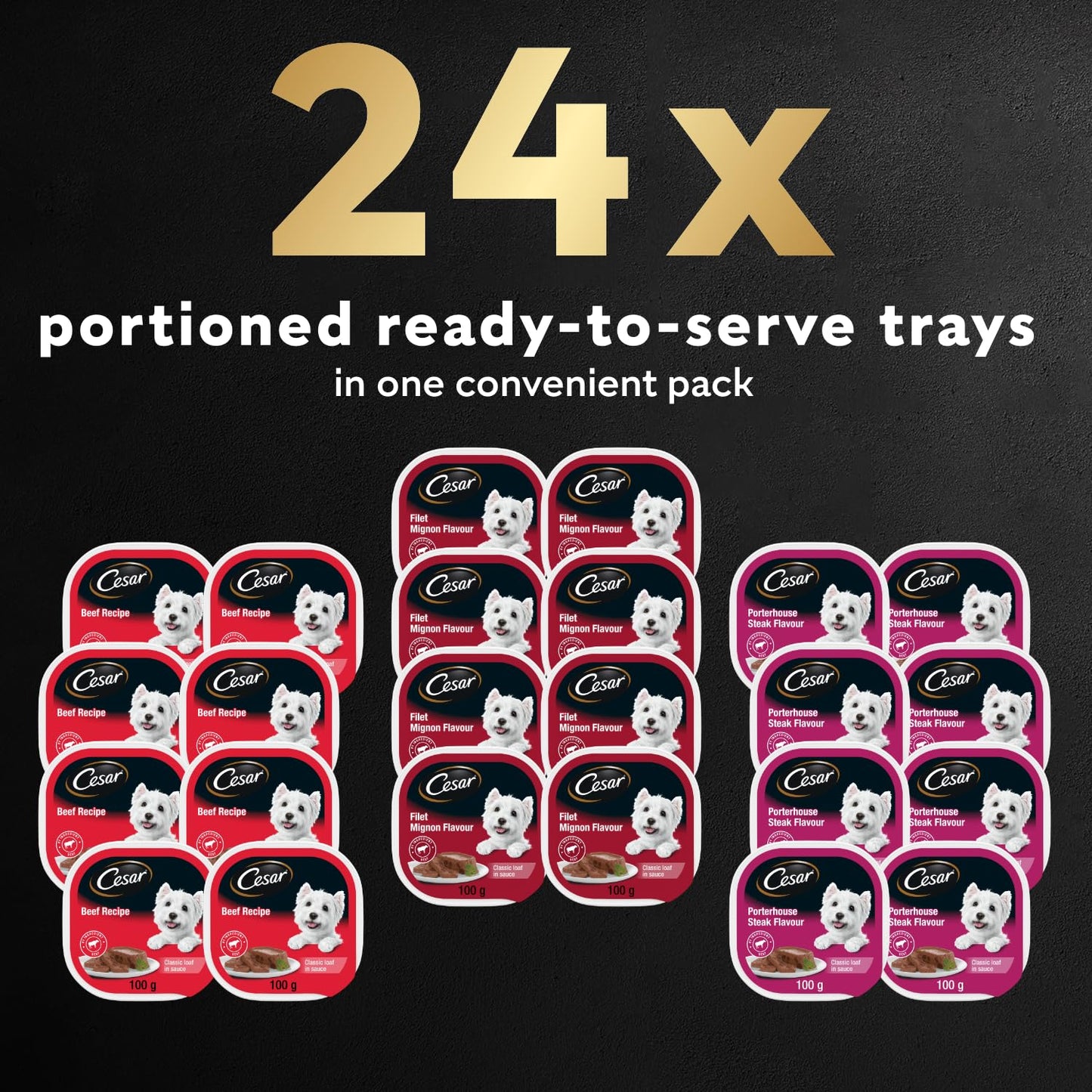 CESAR Classic Loaf in Sauce Adult Wet Dog Food Beef Selects Variety Pack, 24x100g Trays