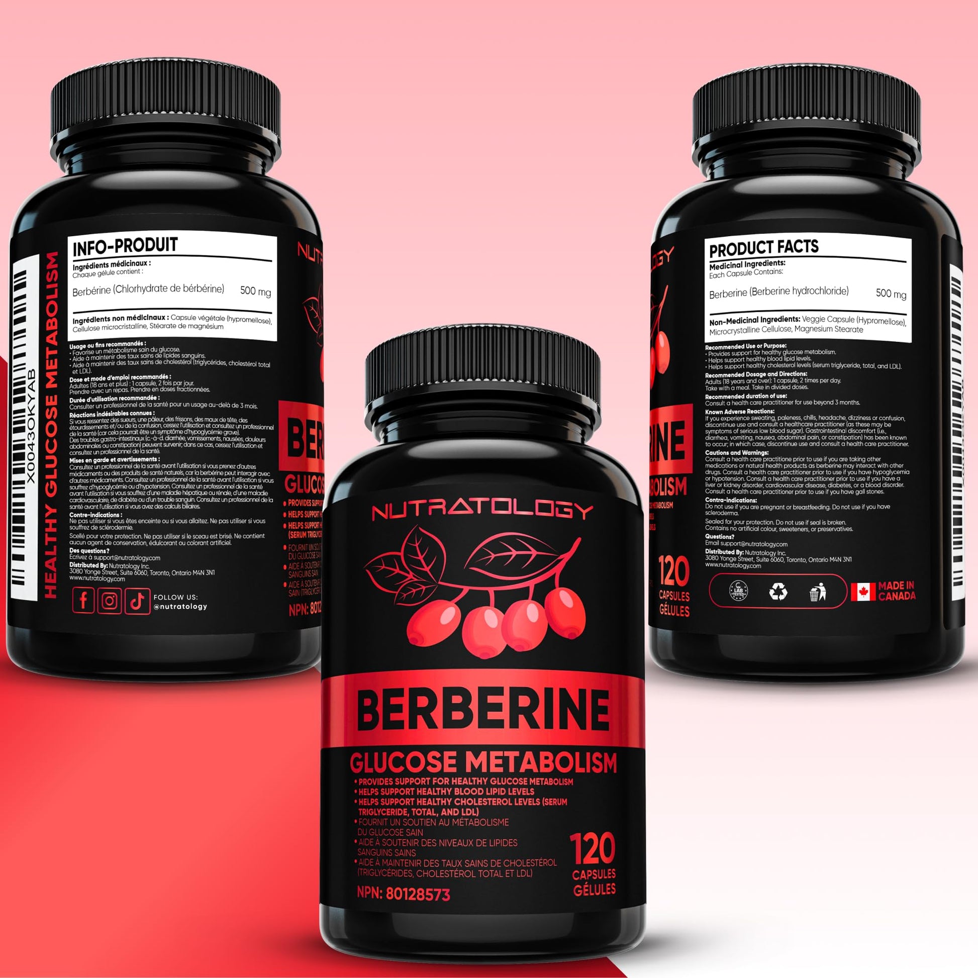 Nutratology® Berberine Supplement | Canadian-Made | Max Potency 500MG Per Capsule - Supports Glucose Metabolism & Healthy Blood Sugar Levels Through Efficient Metabolism Of Sugar & Fats - 120 Capsules - Available at All In One Marketplace Canada