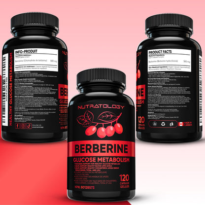Nutratology® Berberine Supplement | Canadian-Made | Max Potency 500MG Per Capsule - Supports Glucose Metabolism & Healthy Blood Sugar Levels Through Efficient Metabolism Of Sugar & Fats - 120 Capsules - Available at All In One Marketplace Canada