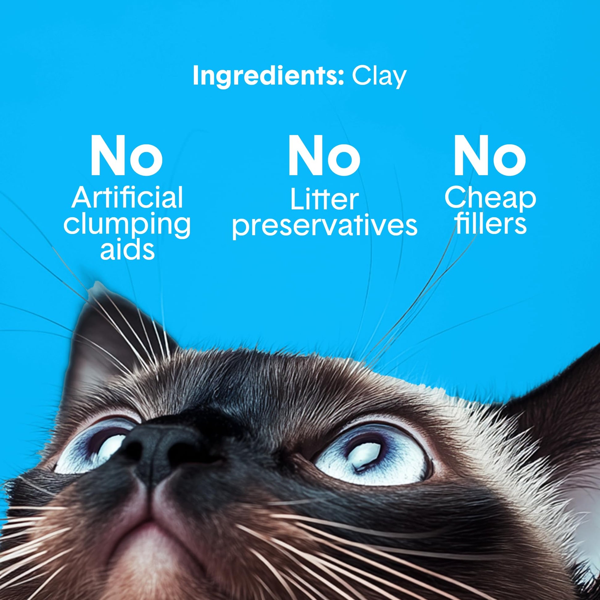 Boxie® Unscented 30 Day Odor Control Clumping Clay Cat & Kitty Litter 16 lb, 99.9% Dust-Free, Hard Flat Top® Clumps, No Fragrances No Fillers, Long-Lasting, Easy to Scoop