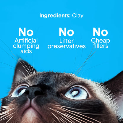Boxie® Unscented 30 Day Odor Control Clumping Clay Cat & Kitty Litter 16 lb, 99.9% Dust-Free, Hard Flat Top® Clumps, No Fragrances No Fillers, Long-Lasting, Easy to Scoop