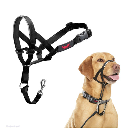 Halti Headcollar - Stop Your Dog Pulling on the Leash. Adjustable, Reflective and Lightweight, with Padded Nose Band. Dog Training Anti-Pull Collar for Medium Dogs (Size 3, Black) 🍁 All In One Marketplace Canada